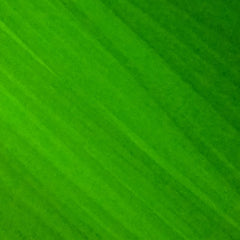 PLA 1.75mm - Fluorescent/Luminescent Green