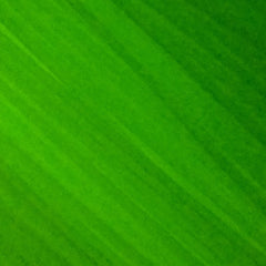 PLA 1.75mm - Fluorescent/Luminescent Green